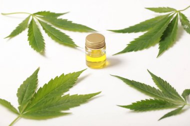 Cannabis leaves CBD oil hemp products clipart