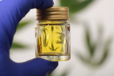 Esrar Cbd yağ kenevir ürünleri bırakır.
