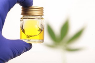 Esrar Cbd yağ kenevir ürünleri bırakır.