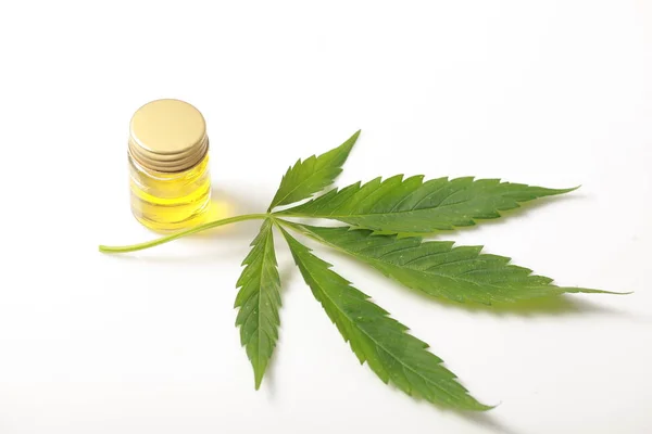 Cannabis leaves CBD oil hemp products — Stock Photo, Image