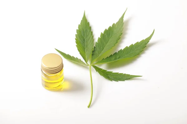 Cannabis levelek Cbd olaj kender termékek — Stock Fotó