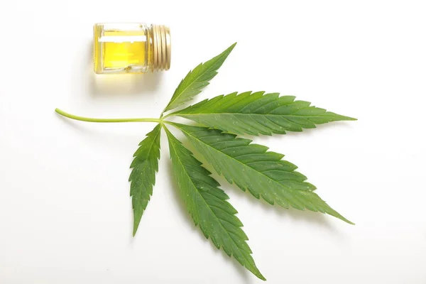 Cannabis leaves CBD oil hemp products — Stock Photo, Image