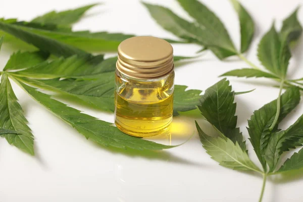 Cannabis Blätter cbd Öl Hanfprodukte — Stockfoto