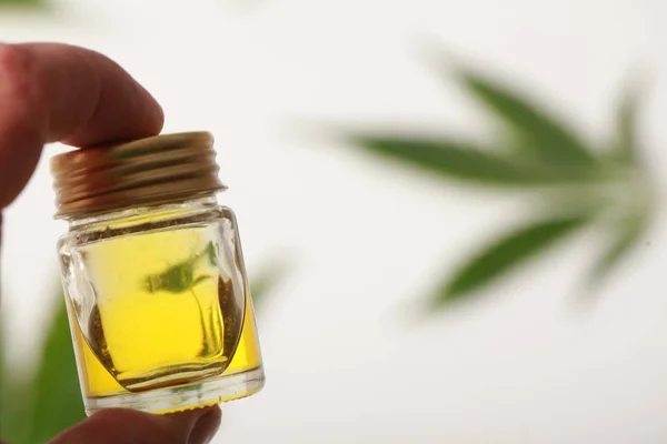 Cannabis leaves CBD oil hemp products — Stock Photo, Image