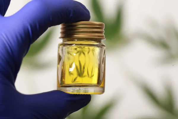 Cbd λάδι κάνναβης αφήνει στα προϊόντα κάνναβης — Φωτογραφία Αρχείου