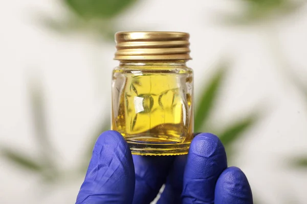 Cannabis leaves CBD oil hemp products — Stock Photo, Image