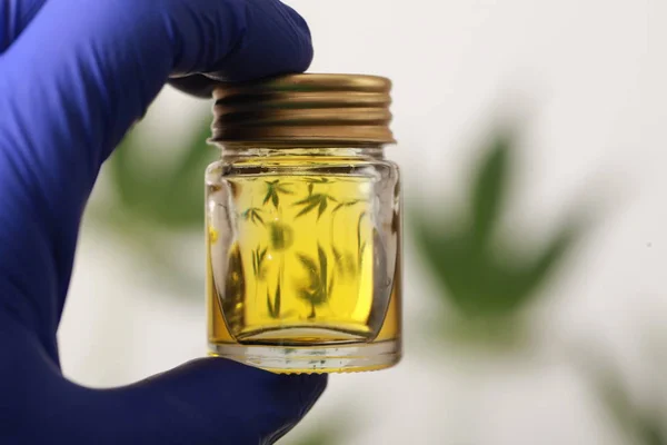Cannabis Leaves Cbd Oil Hemp Products — Stock Photo, Image