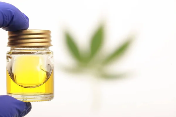 Cannabis leaves CBD oil hemp products — Stock Photo, Image