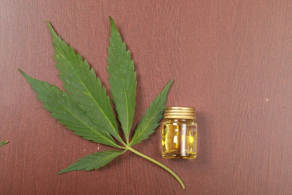 Cannabis leaves oil hemp