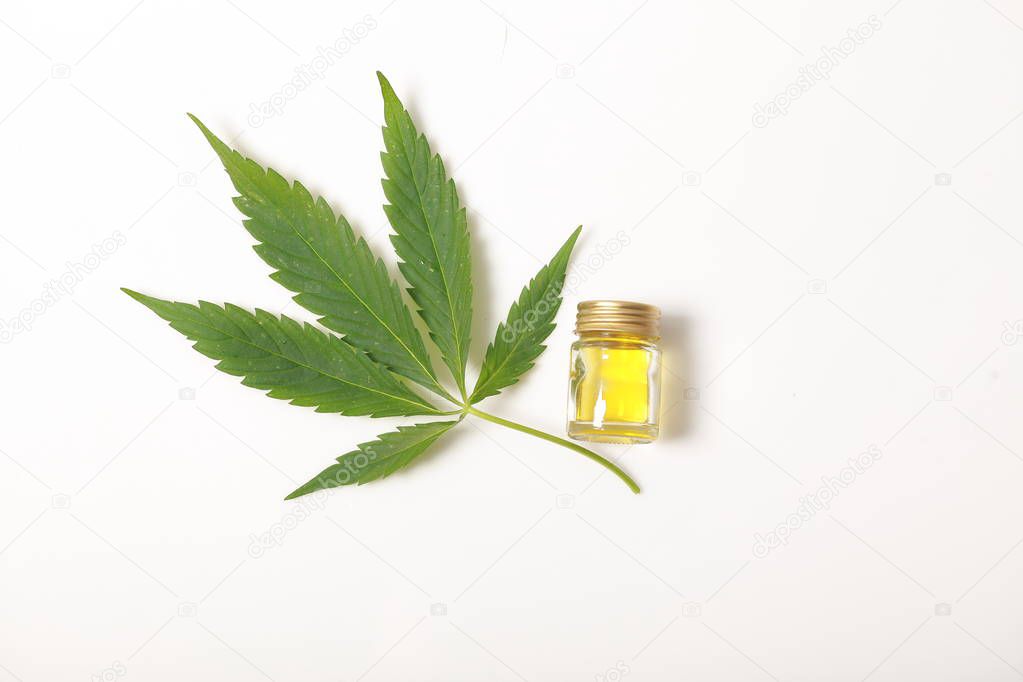 Cannabis leaves CBD oil hemp products