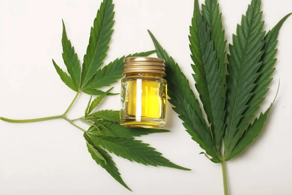 Cannabis leaf and oil — Stock Photo, Image