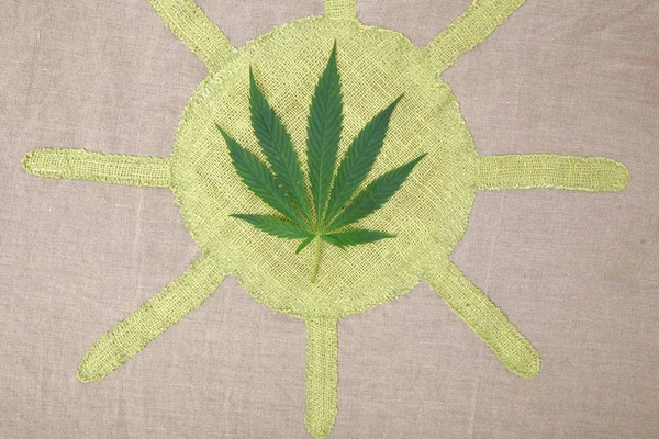 Hoja de cannabis hojas verdes marihuana —  Fotos de Stock
