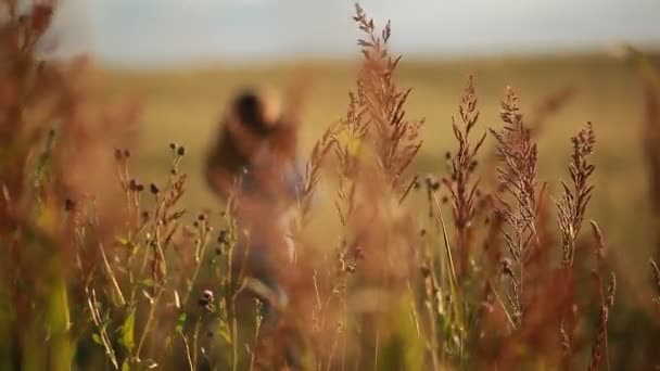 Meisje met foto's van een natuurlijk landschap in een veld in de avond — Stockvideo