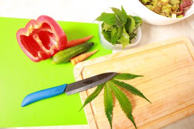 Taze kenevir salata hazırlık için bırakır. Tıbbi esrar