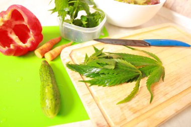 Taze kenevir salata hazırlık için bırakır. Tıbbi esrar