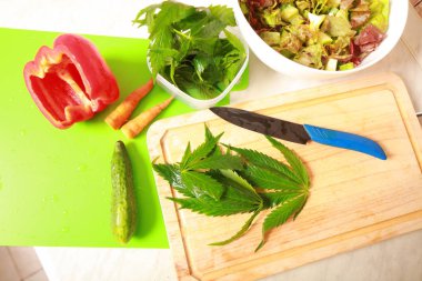 Taze kenevir salata hazırlık için bırakır. Tıbbi esrar