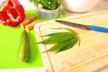 Taze kenevir salata hazırlık için bırakır. Tıbbi esrar