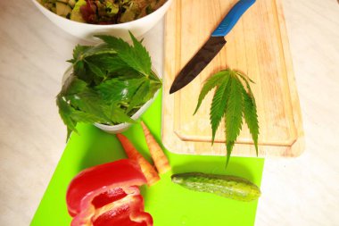 Taze kenevir salata hazırlık için bırakır. Tıbbi esrar