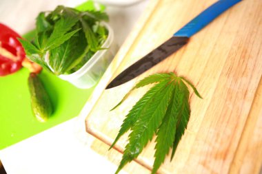 Taze kenevir salata hazırlık için bırakır. Tıbbi esrar