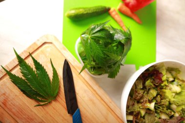 Taze kenevir salata hazırlık için bırakır. Tıbbi esrar