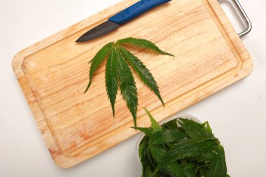 Taze kenevir salata hazırlık için bırakır. Tıbbi esrar