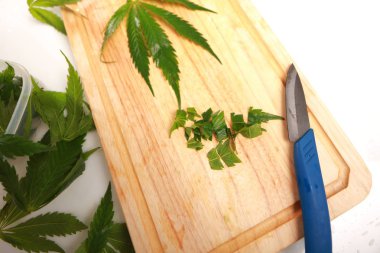 Taze kenevir salata hazırlık için bırakır. Tıbbi esrar