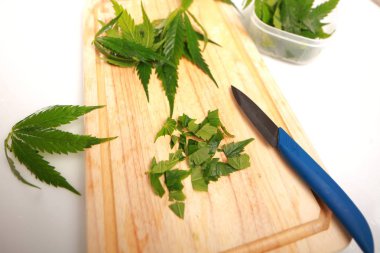 Taze kenevir salata hazırlık için bırakır. Tıbbi esrar