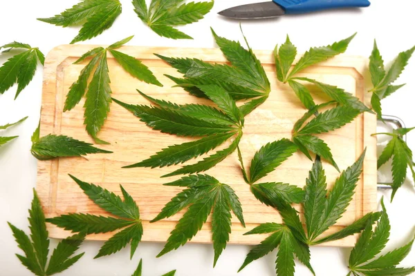 Taze kenevir salata hazırlık için bırakır. Tıbbi esrar