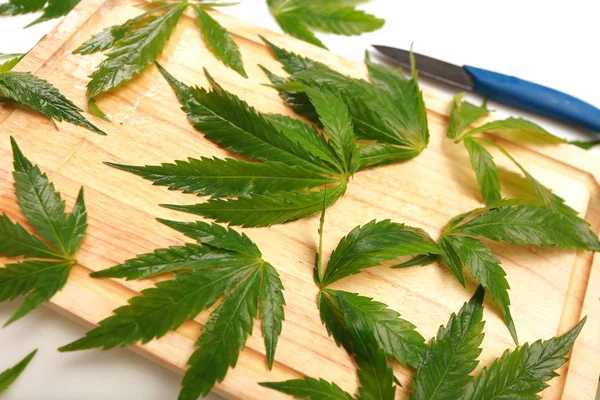 Taze kenevir salata hazırlık için bırakır. Tıbbi esrar