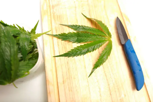 Taze kenevir salata hazırlık için bırakır. Tıbbi esrar