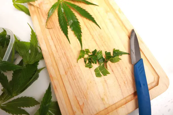 Taze kenevir salata hazırlık için bırakır. Tıbbi esrar