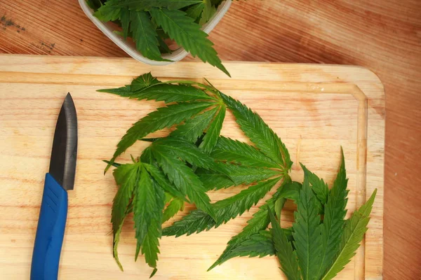 Taze kenevir salata hazırlık için bırakır. Tıbbi esrar