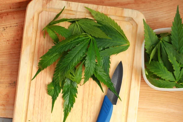 Taze kenevir salata hazırlık için bırakır. Tıbbi esrar