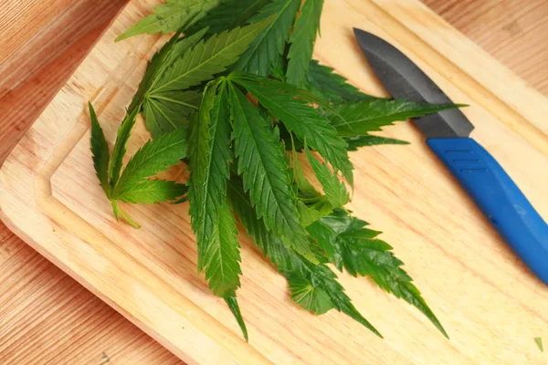 Taze kenevir salata hazırlık için bırakır. Tıbbi esrar