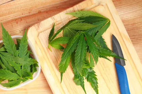 Taze kenevir salata hazırlık için bırakır. Tıbbi esrar