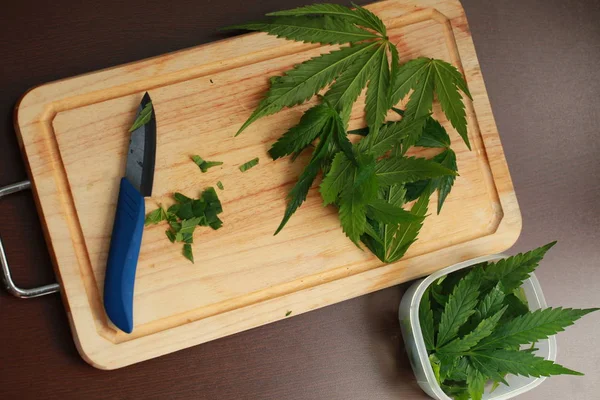 Taze kenevir salata hazırlık için bırakır. Tıbbi esrar