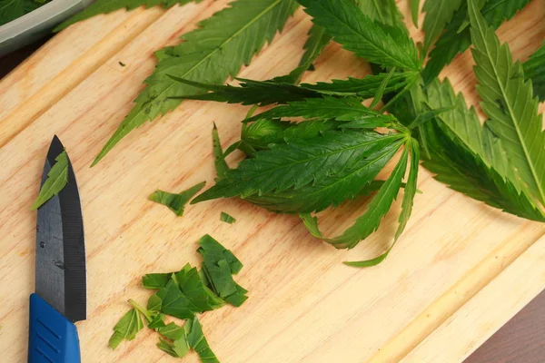 Taze kenevir salata hazırlık için bırakır. Tıbbi esrar