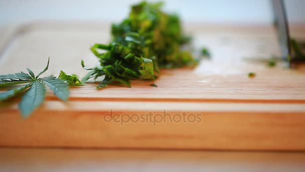 Corte de hojas de cannabis para ensalada — Vídeo de stock