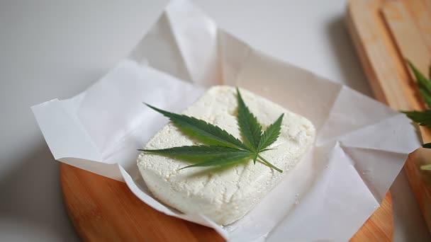 Hemp and cottage cheese — Stock Video
