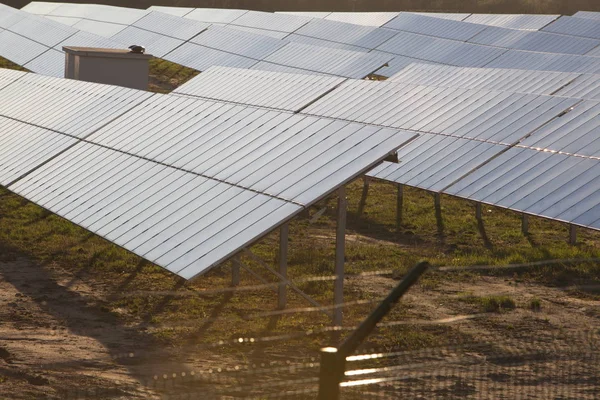 Farm solar panels on nature in the evening — Stock Photo, Image