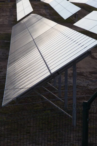 Farm solar panels on nature in the evening — Stock Photo, Image