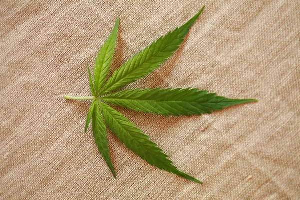 大麻葉緑の葉マリファナ — ストック写真