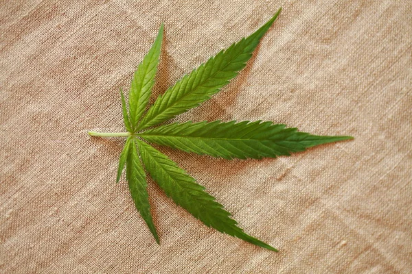 Cannabis Blatt grüne Blätter Marihuana — Stockfoto