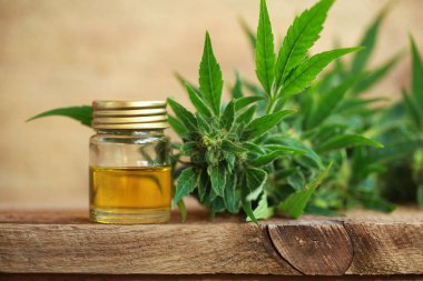 cannabis oil and hemp clipart