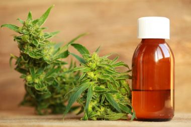 kenevir yağı ve kenevir