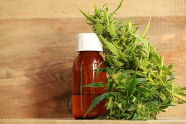 kenevir yağı ve kenevir