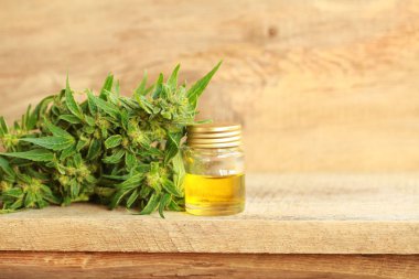 kenevir yağı ve kenevir