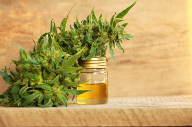 kenevir yağı ve kenevir