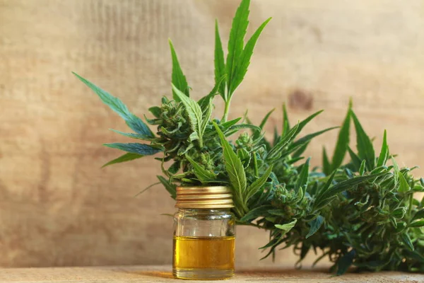 Cannabisolie en hennep — Stockfoto