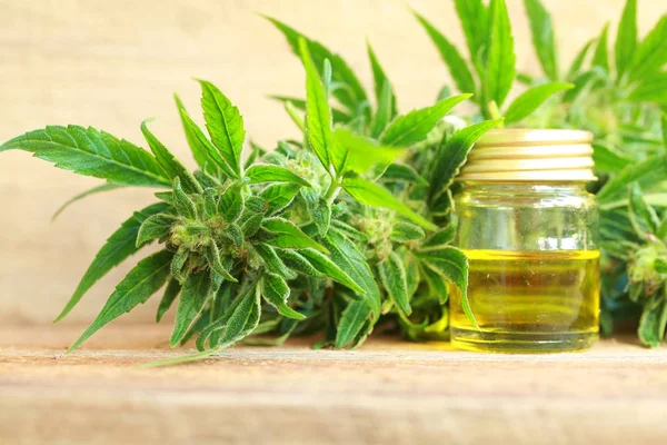 Cannabis oil and hemp — Stock Photo, Image